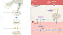 case study of hypothyroidism