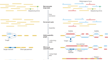 genes that travel on the x chromosome