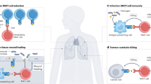 antigen presentation of virus