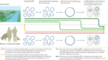 term paper on resistance to antibiotics