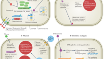 thesis drug resistance