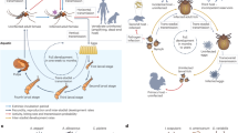 hypothesis formulation epidemiology