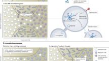 literature review of keratitis