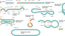 synthesis of heterocyclic compounds thesis