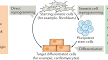 articles against embryonic stem cell research