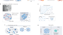 coupling hypothesis definition biology