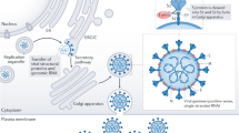 case presentation of dengue virus