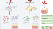 stem cell research journal