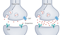 hypothesis of schizophrenia making sense of it all