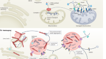 new research on parkinson's disease