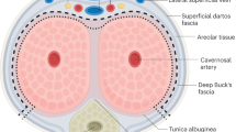 gender reassignment dilation