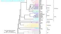 kurgan hypothesis