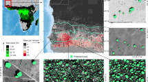 deforestation case study