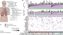 case study of a lung cancer patient