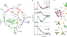 photosynthesis light research paper