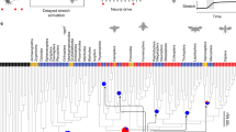 research and analysis wing vacancy