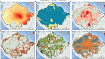 case study amazon forest