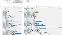 clinical cancer research articles