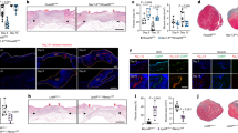 research topics in tissue engineering