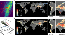 effects of global warming in essay