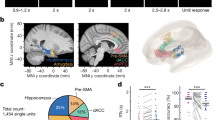 essay cognitive map