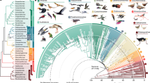 evolution research articles