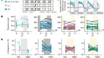 hypothesis examples sleep