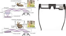 research on food science and technology