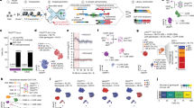 scholarly article on stem cell research