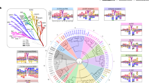 cystic fibrosis and protein synthesis case study cystic fibrosis and protein synthesis case study