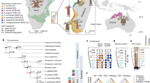 dissertation on species