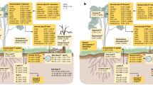 watershed management thesis watershed management thesis