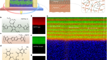 Organic thermoelectric materials for energy harvesting and 