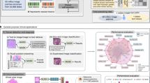 A visual-language foundation model for computational pathology 