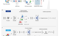 representation data define