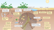 experimental research topics about agriculture