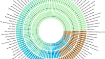 X chromosome exerts extra influence on brain development, Spectrum