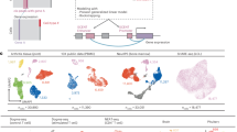 research paper on expression of genes