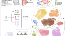 latest research papers on flow cytometry