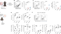 hepatitis b virus research