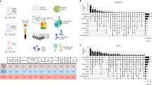 immunology research journal articles