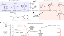 rust disease research paper