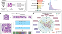 skin cancer detection research paper