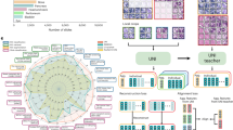 brain tumor detection using deep learning research paper