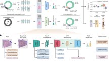 medical imaging research