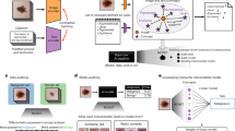 medical imaging research medical imaging research