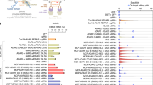 TSniffer: unbiased de novo identification of RNA editing sites and ...