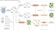 knowledge graph representation learning