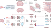Network model for alignment, stitching and slice-to-volume 3D reconstruction of large-scale spatially resolved slices