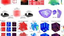 representation of the 3d representation of the 3d